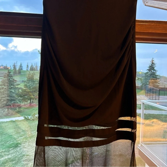 Beautiful Lian Yi Fang gown- worn  once, gothic with sheer cutaways and long - Picture 4 of 8